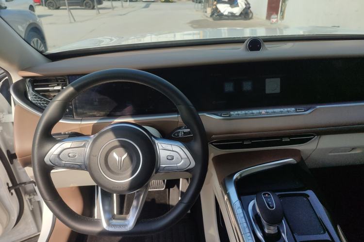 Used VOYAH FREE 2021 Four-Wheel Drive Standard All-Electric Exclusive Luxury Package
