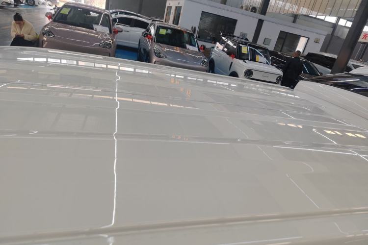 Used  Panda 2024 Panda Mini 200km Endurance Bear
