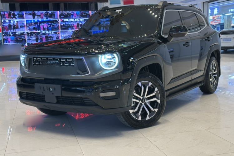 Used Haval H Dog 2023 2.0T Two-Wheel Drive Chaoye Version Plus