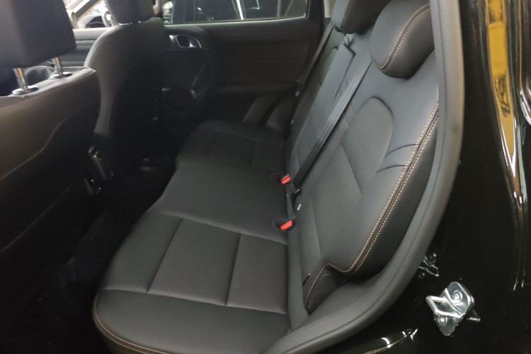 Used Haval DARGO 2024 2.0T DCT Chinese Rural Dog Edition
