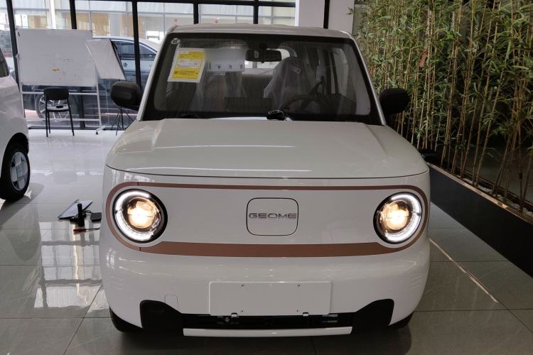 Used  Panda 2024 Panda Mini 200km Endurance Bear
