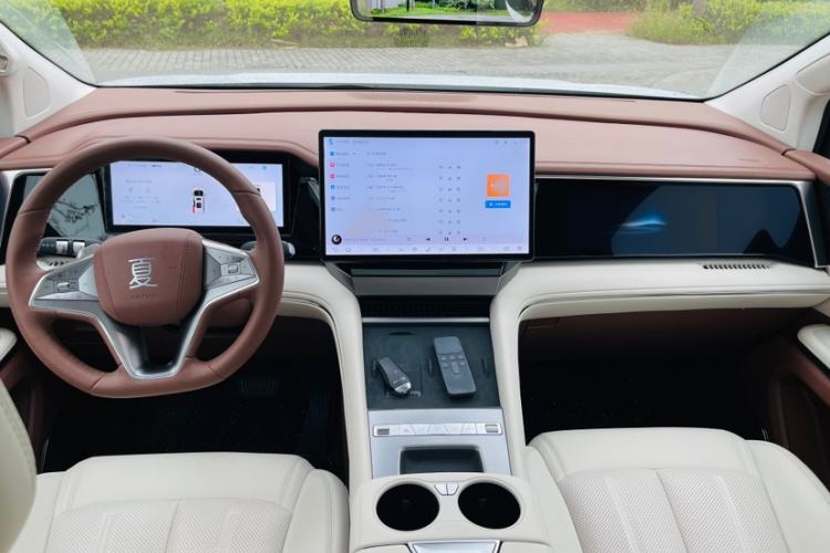 Used BYD Xia 2025 DM-i 1.5T 180km Excellence Model
