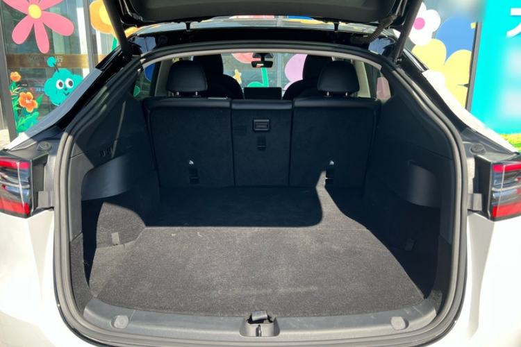 Used Tesla Model Y 2021 Standard Range Rear-Wheel Drive Version
