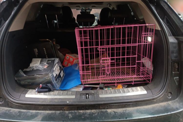 Used Wey VV6 2018 2.0T Two-Wheel-Drive Ultra-Luxury Version China V Standard