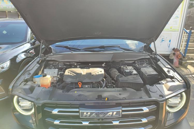 Used Haval DARGO 2022 2.0T DCT 4x4 Chinese Rural Dog Edition
