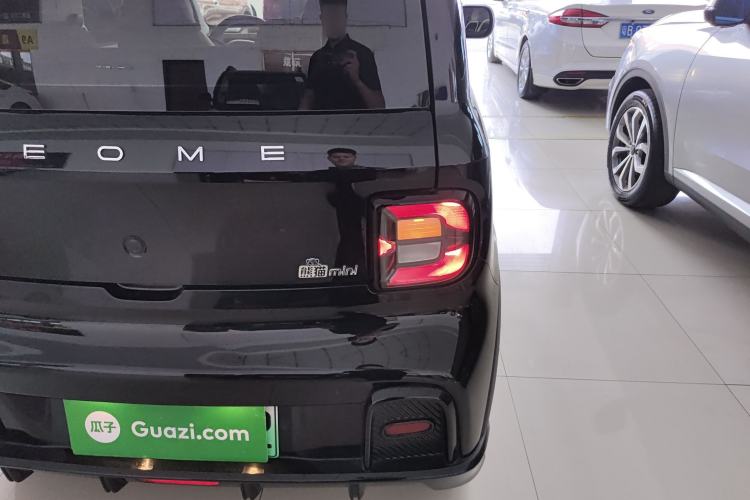 Used  Panda 2024 200km Panda Kart
