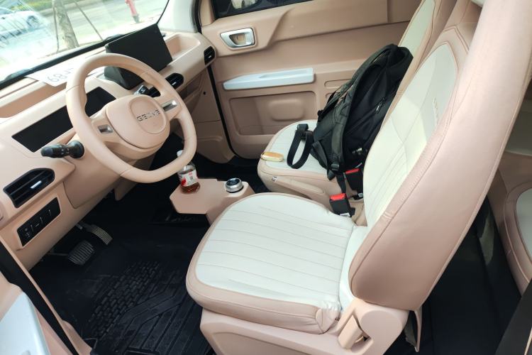 Used  Panda 2023 Panda Mini 200km Endurance Bear
