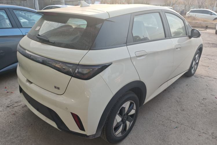 Used BYD Dolphin 2025 420km Free Edition
