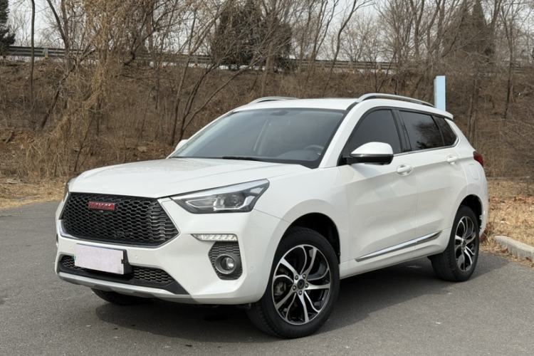 Used Haval H6 Coupe 2018 Red-Label 1.5T Automatic Two-Wheel Drive Ultra-Luxury Model