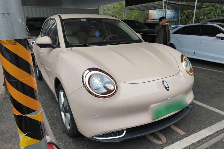 Used ORA Good Cat 2023 401 km Standard Range Luxury Version Lithium Iron Phosphate
