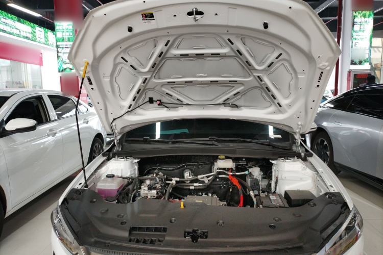 Used BYD Qin PLUS 2025 EV 510KM Standard Edition
