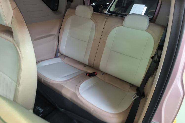 Used  Panda 2024 Panda Mini 200km Endurance Bear