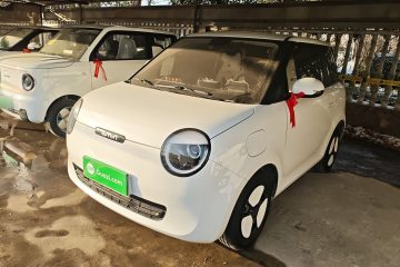 Used Qiyuan Lumin 2024 130km Qingyue Version