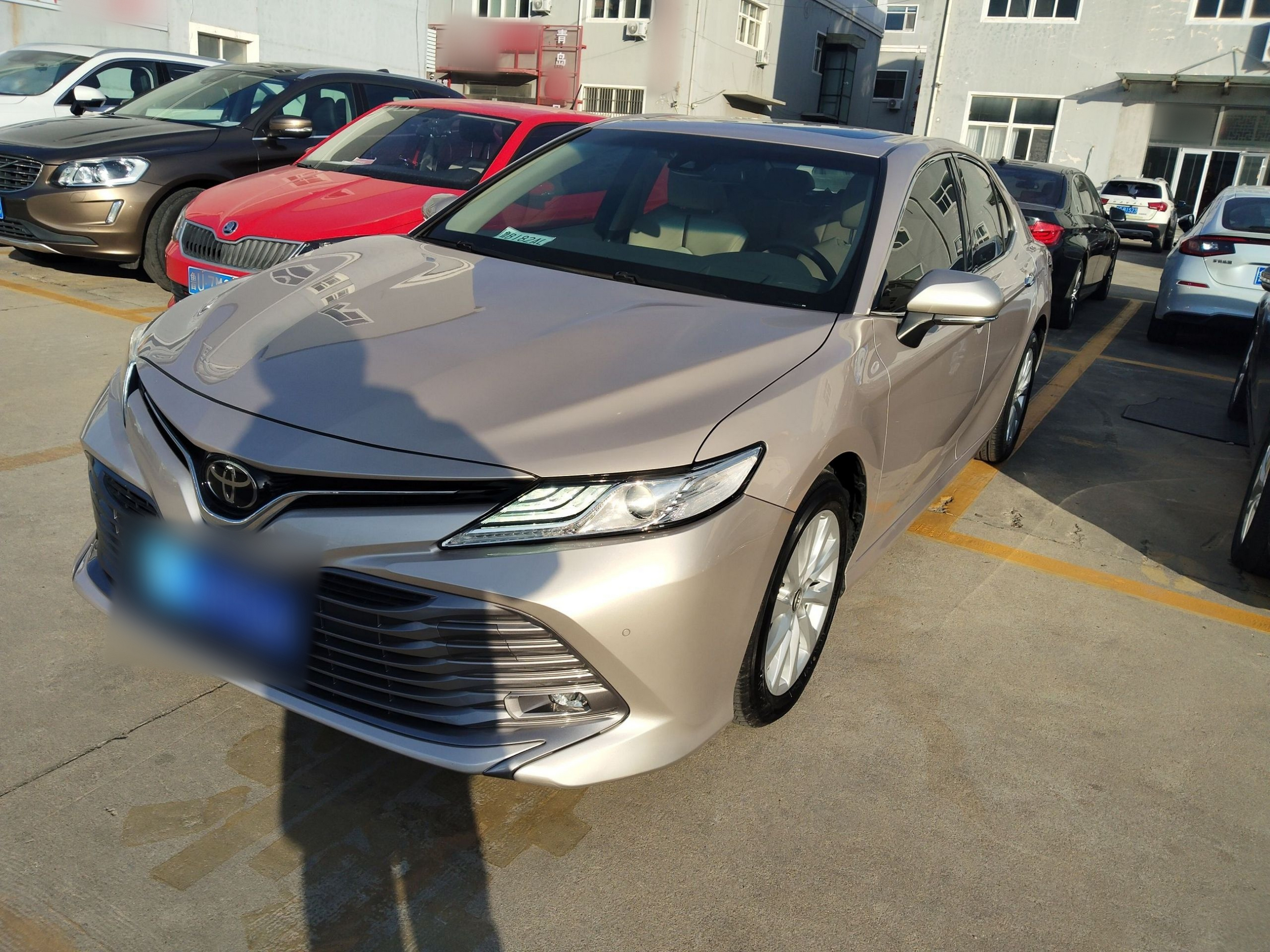 تحت مقدمة السيارة