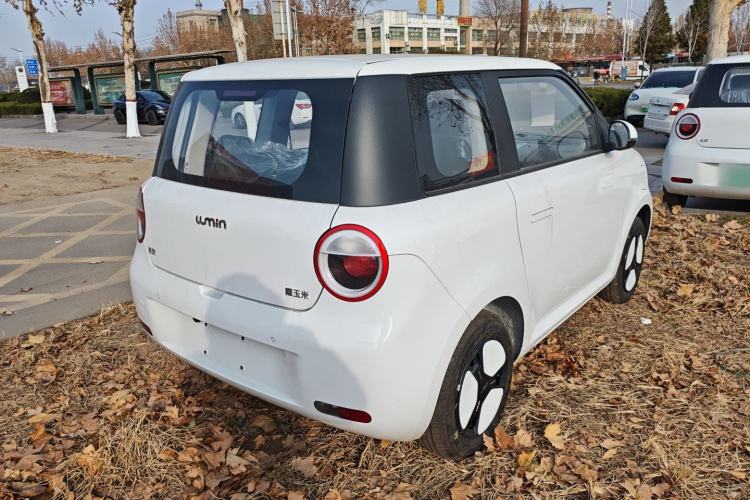 Used  Lumin 2025 205 km Xiangqin Version
