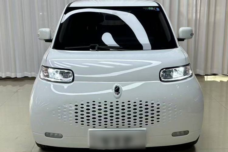 Used ORA White Cat 2020 305 km Luxury Version
