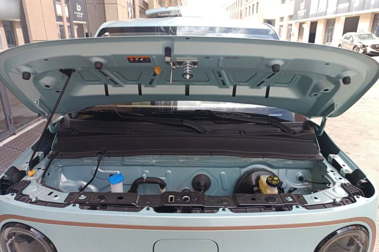 Used  Panda 2024 Panda Mini 200km Endurance Bear
