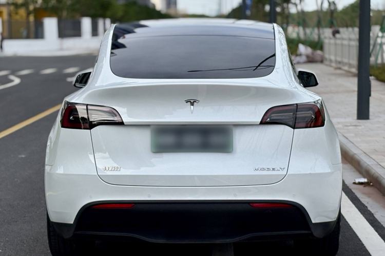 Used Tesla Model Y 2022 Revised Version Long-Range All-Wheel Drive
