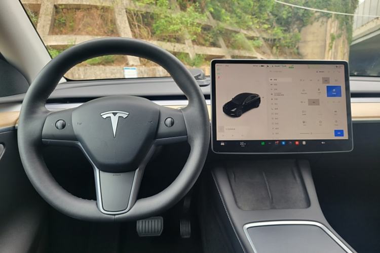 Used Tesla Model Y 2021 Standard Range Rear-Wheel Drive Version
