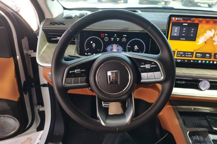 Used Tank 500 New Energy 2025 Hi4-Z
