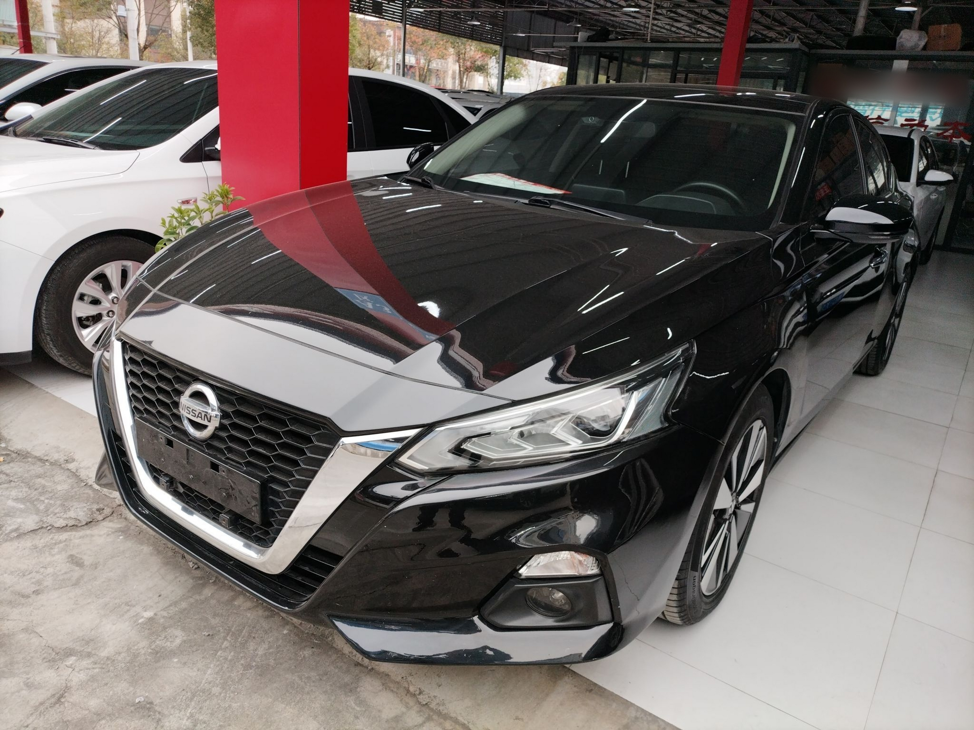 تحت مقدمة السيارة