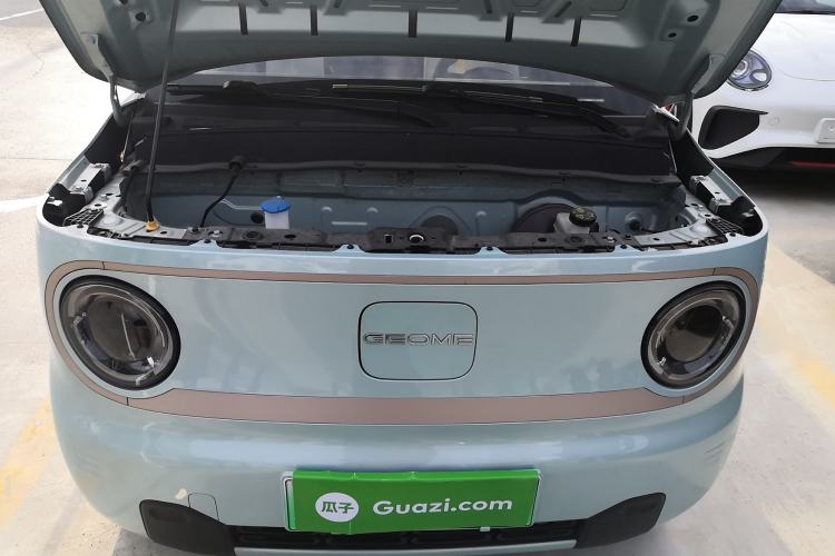 Used  Panda 2023 Panda Mini New Year Edition Treasure Bear
