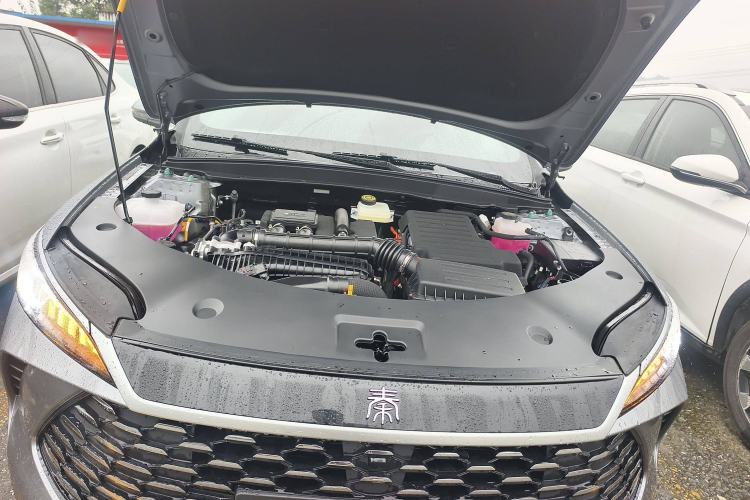 Used BYD Qin PLUS 2025 DM-i Smart Drive 55KM Leading Model
