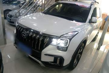 Used GAC Trumpchi GS8 2020 GS8S 390T Two-Wheel Drive Luxury Smart Connectivity Version