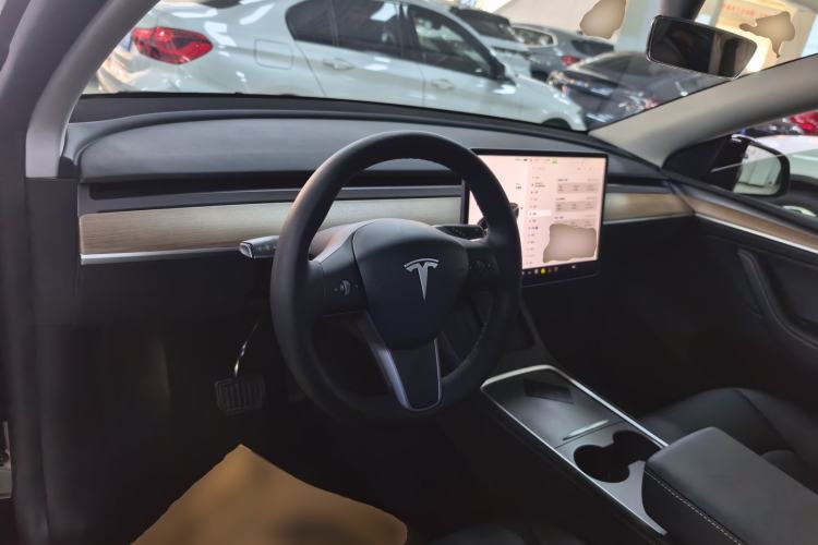 Used Tesla Model Y 2021 Standard Range Rear-Wheel Drive Version
