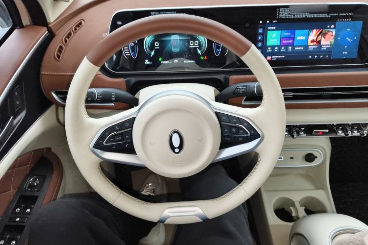 Used ORA Good Cat 2024 401 km Luxury Version 126 kW
