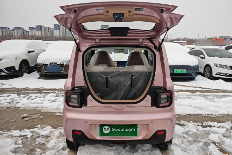 Used  Panda 2024 Panda Mini 200km Endurance Bear
