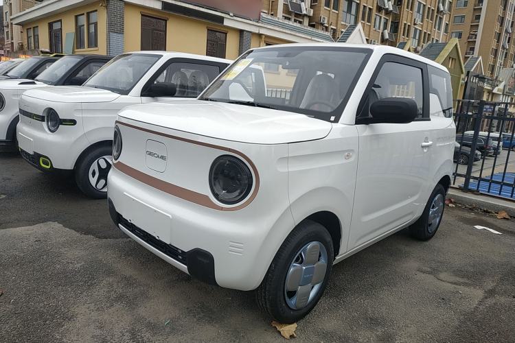 Used  Panda 2024 Panda Mini 200km Endurance Bear
