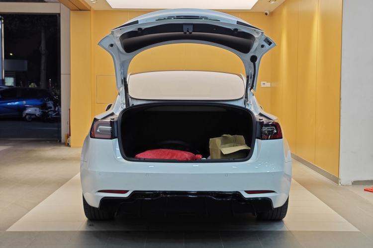 Used Tesla Model 3 2021 Standard Range Rear-Wheel Drive Upgraded Version 3D6
