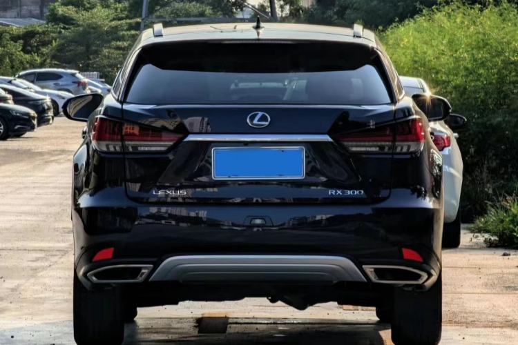 Used Lexus RX 2020 300 4x4 Elegant Edition China VI
