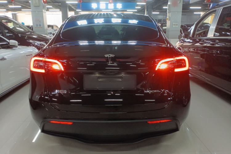 Used Tesla Model Y 2021 Standard Range Rear-Wheel Drive Version
