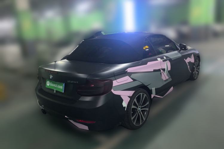 Used BMW 2 Series (Import) 2019 225i Convertible Coupe Sports Design Package
