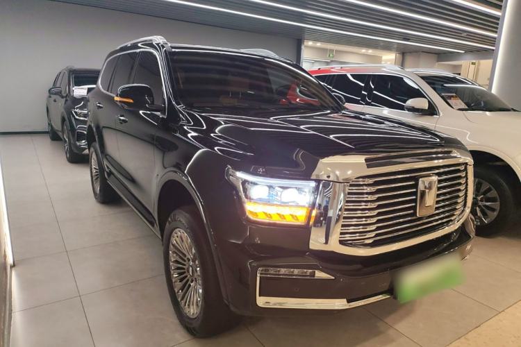 Used Tank 500 New Energy 2024 Hi4-T
