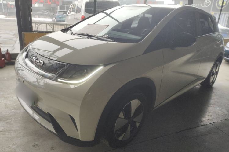 Used BYD Dolphin 2023 420 km Free Version