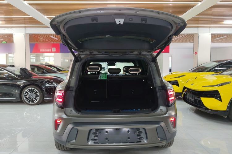 Used  #5 2024 Jungle Realm Limited Edition