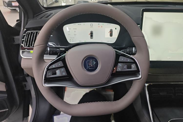 Used BYD Tang New Energy 2025 DM-i 115KM Cloud Ride Flagship Model
