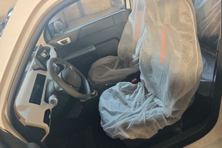 Used  Panda 2024 Panda Mini 200km Endurance Bear