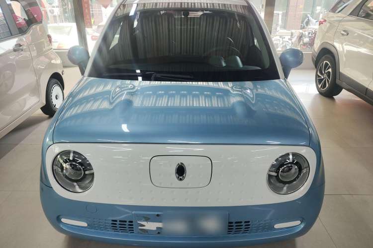 Used ORA Black Cat 2021 301 km Basic Version
