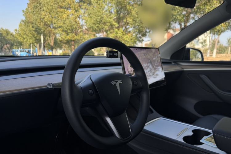 Used Tesla Model Y 2021 Long-Range All-Wheel-Drive Version