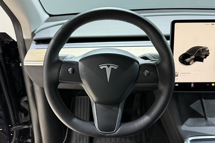 Used Tesla Model Y 2021 Standard Range Rear-Wheel Drive Version
