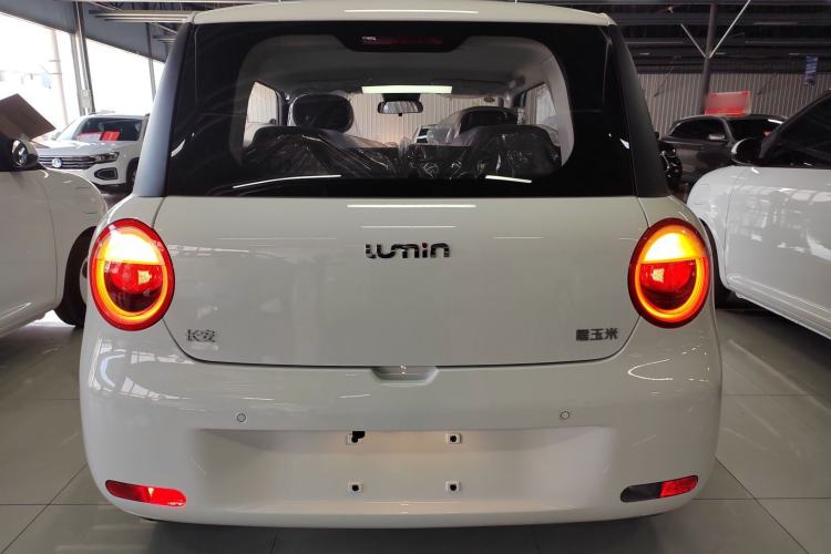 Used  Lumin 2024 130km Qingyue Version
