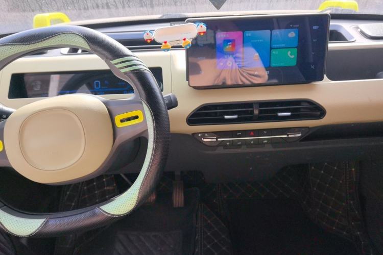 Used  Panda 2024 200km Panda Rider