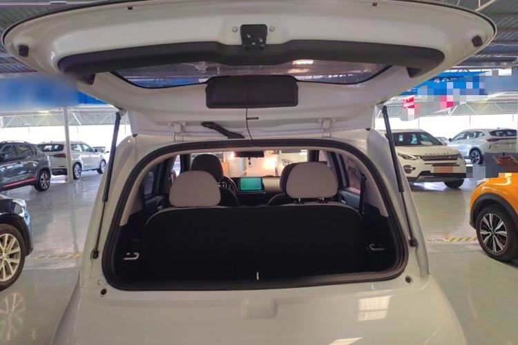 Used ORA White Cat 2020 305 km Luxury Version
