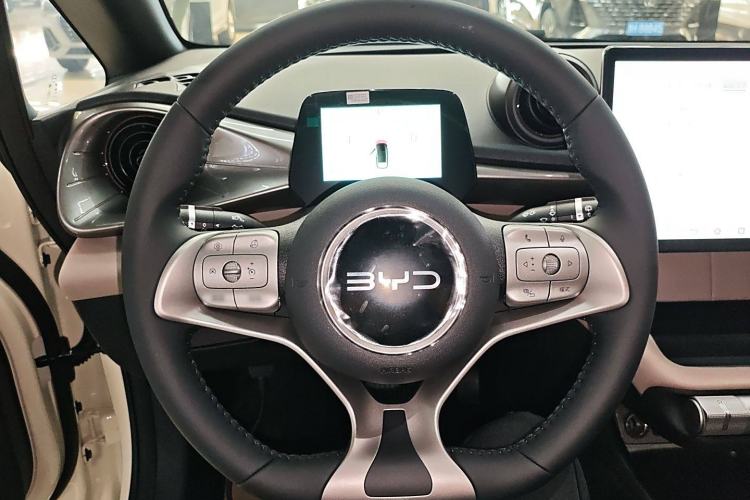 Used BYD Dolphin 2025 420km Free Edition
