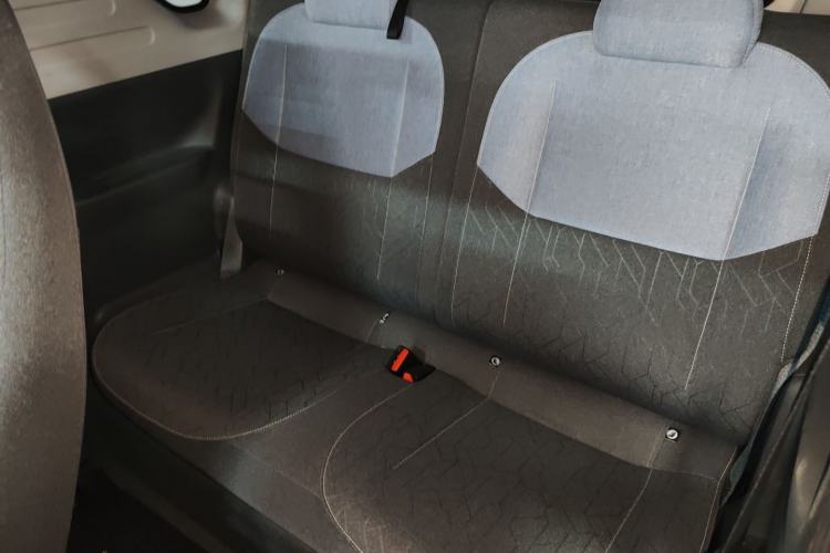 Used  Panda 2024 Panda Mini 200km Endurance Bear
