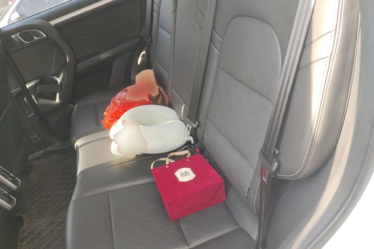 Used Haval DARGO 2022 2.0T DCT 4x4 Chinese Rural Dog Edition